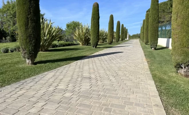 Taille des haies et entretien à Brignoles, Eden Provence
