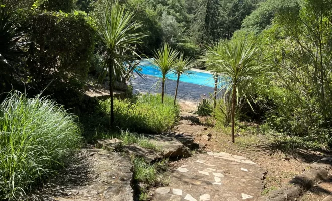 Entretien et taille des arbustes à Brignoles, Eden Provence