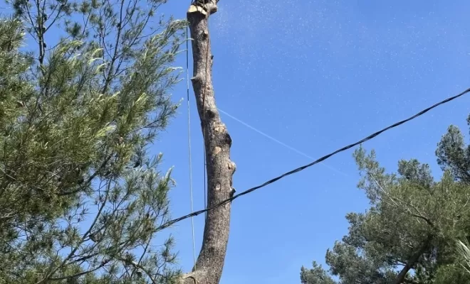Élagueur, Brignoles, Eden Provence