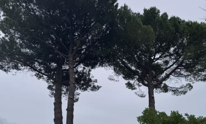 Après