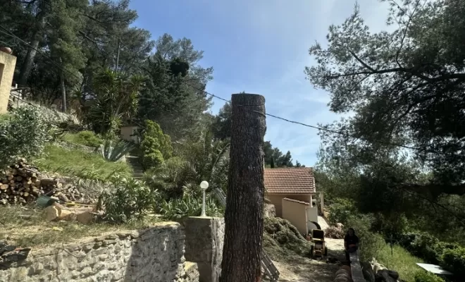 Gros Pins mal placé, Eden Provence